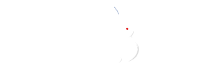 DeepFocus Logo