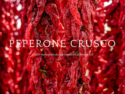Nuovo sito dedicato al Peperone Crusco IGP